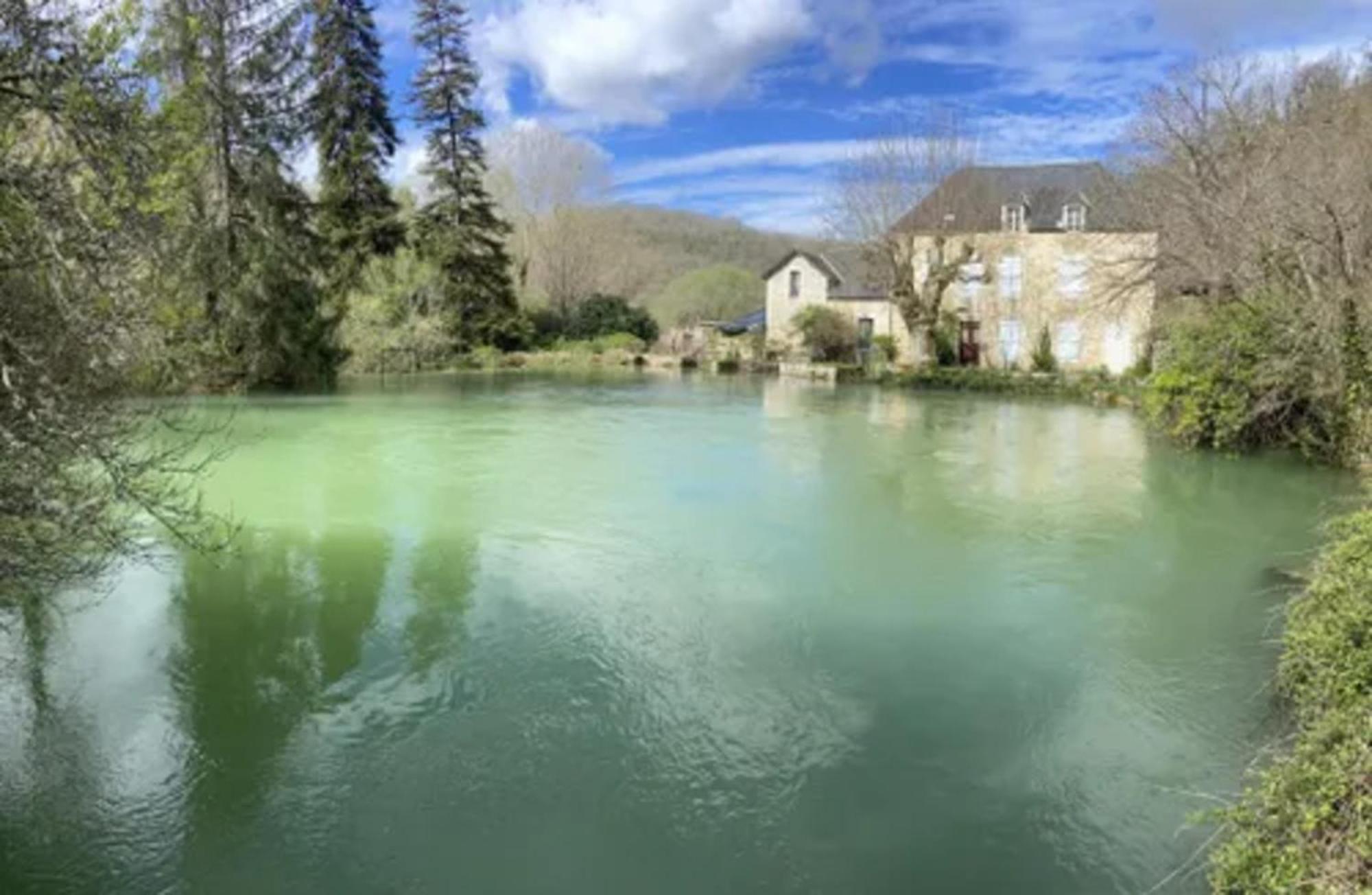 Domaine La Noyeraie Perigord Noir Villa Paulin Exteriör bild